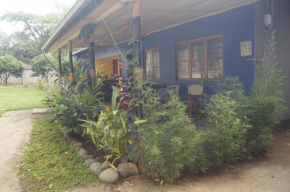 Blue Cactus Shanty